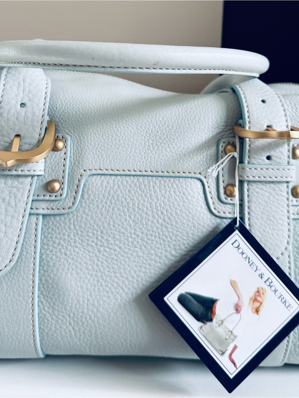 Dooney & Bourke Pale Blue Pebble Leather Satchel with Gold Hardware - Picture 2 of 6
